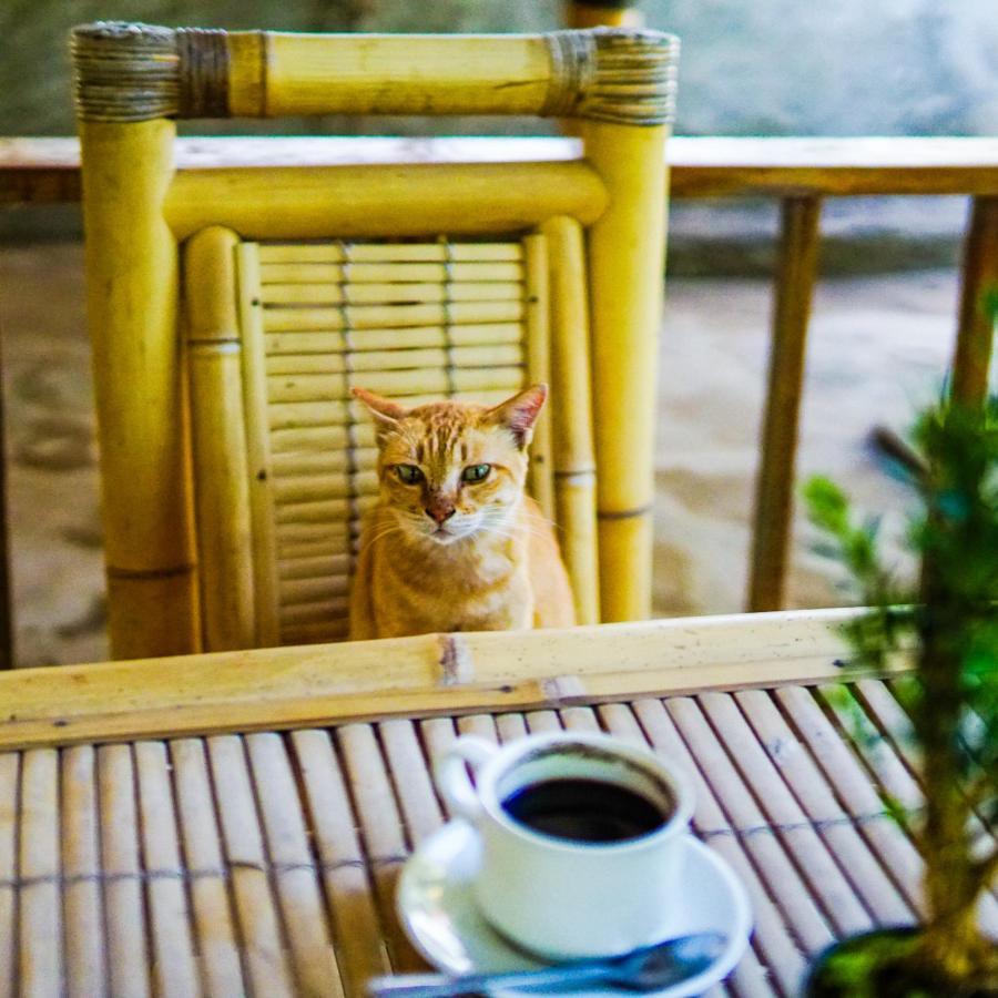 Florine'S Garden Hotel Gili Air Ngoại thất bức ảnh